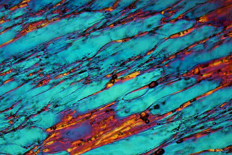 Illustration for article titled Microscope Image Or Alien Planet -- Can You Tell The Difference?